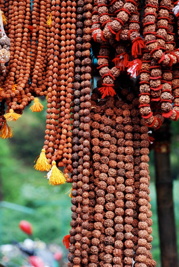 Rudrakhsa Chains - used as prayer beads in Hinduism