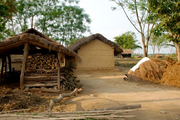 Image result for tharu village walk