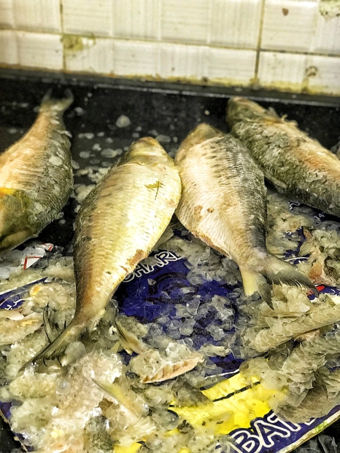 The scraping of scales of Hilsa in Backet Supermarket in Sharjah