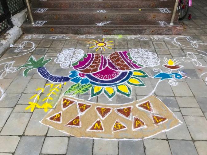 A colourful Kolam design for Pongal