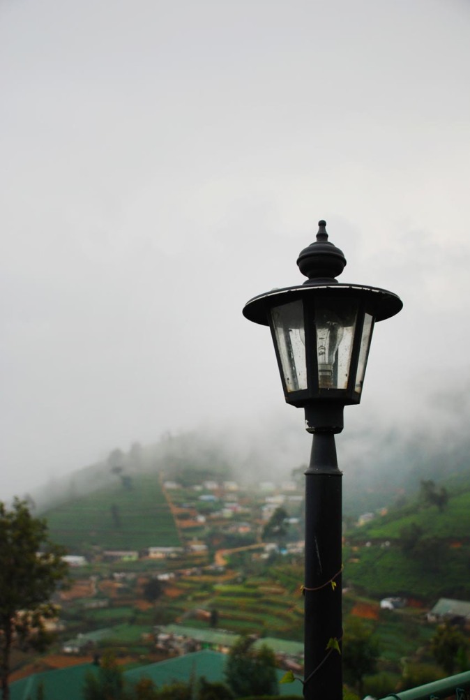 Misty hills of Nuwara Eliya